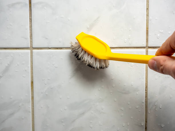 Best Home Mold Removal  in Moyock, NC