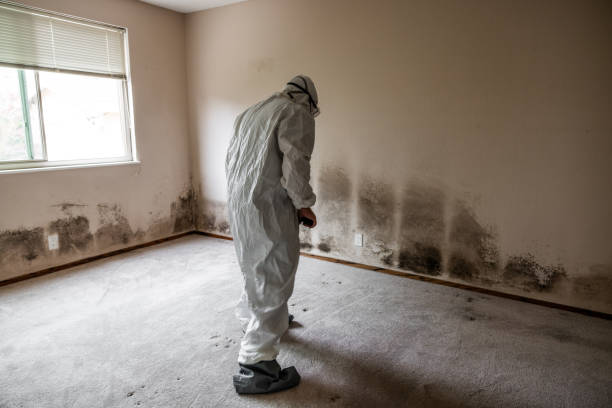 Best Mold Testing  in Moyock, NC